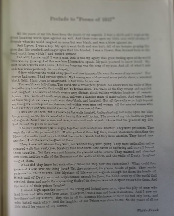 POEMS OF 1917 - Imagen 3