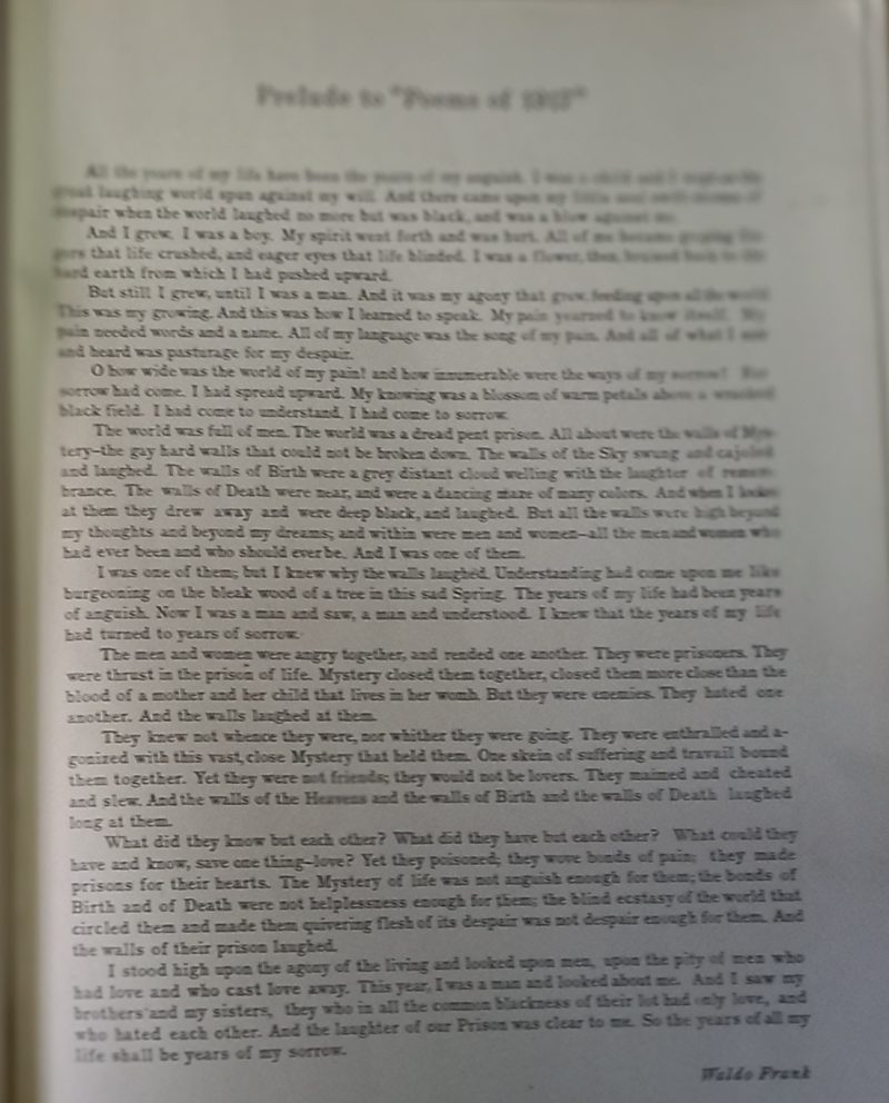 POEMS OF 1917 - Imagen 3