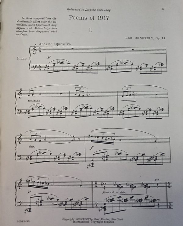 POEMS OF 1917 - Imagen 5