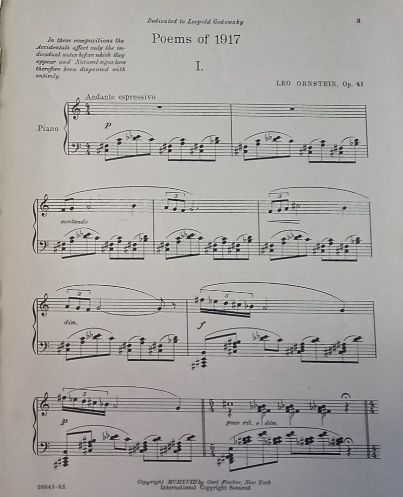 POEMS OF 1917 - Imagen 5