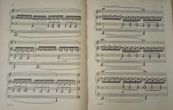 POEMS OF 1917 - Imagen 7